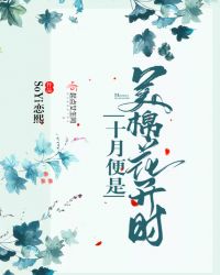 十月便是美棉花开时 作者：SoYi恋熙