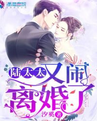 陆太太又闹离婚了 作者：汐奚