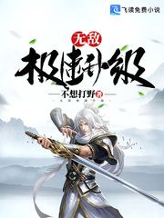 无敌极速升级 作者：不想打野