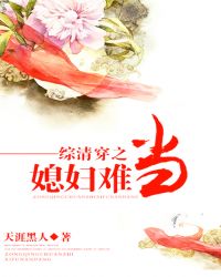 综清穿之媳妇难当