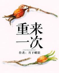 重来一次又如何作文600字