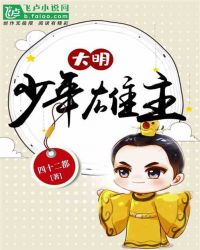 大明:少年雄主书林文学