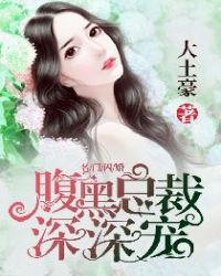 名门闪婚：腹黑总裁深深宠