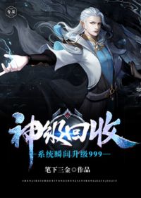 神级回收系统瞬间升级999epub