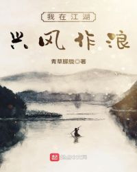 我在江湖兴风作浪小说书评