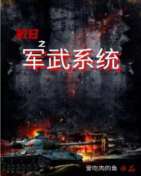 抗日之军武系统 第138章