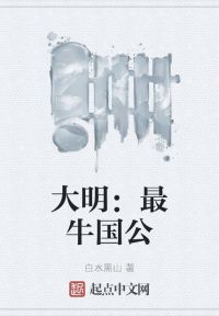 大明:最牛国公笔趣阁