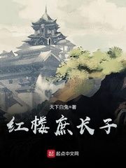 红楼庶长子当家精校版