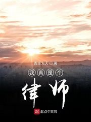 我真是个律师无删减版