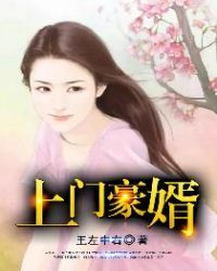 上门豪婿王锐卫清怡