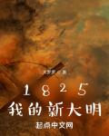 1825我的新大明帝国无弹窗