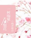 一树海棠压梨花