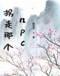 拐走那个npc