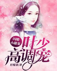 闪婚小甜妻：叶少高调宠