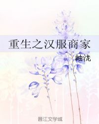 重生之汉服商家小说