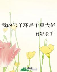 我的丫环是总监